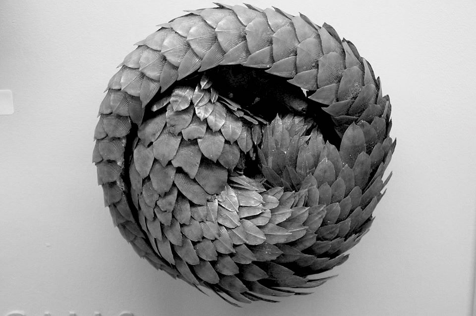 Bio-inspirée & bioclimatique, la métamorphose